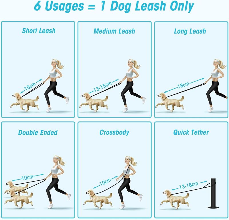 Freihandleinen Für Kleine & Mittelgroße Hunde, Hundeleine 2,5m Verstellbar Übungsleine & Führleine | Nylon-Doppelleine mit 2 Karabiner Schwa_voghion.com