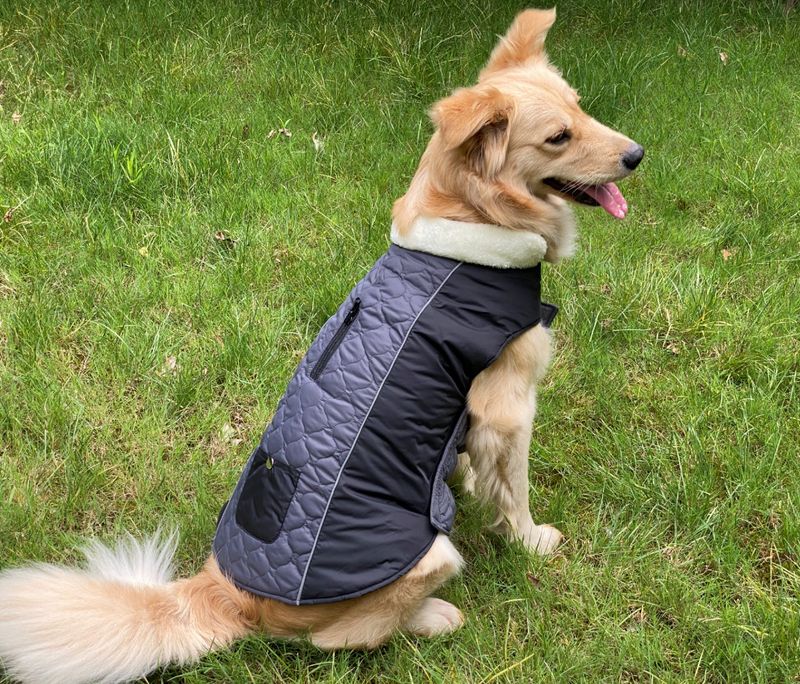 Pocket new pet clothes autumn and winter dog clothes vest cotton coat double sided wearable dog clothes coat clothing_voghion.com