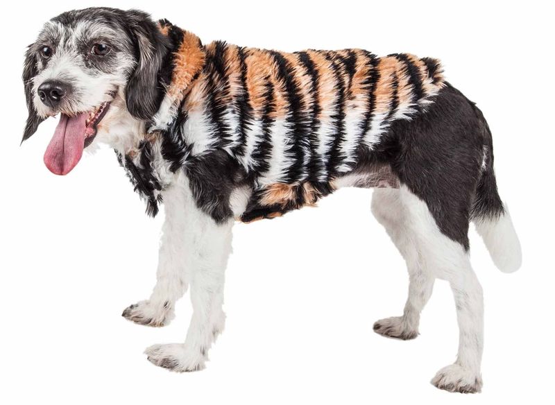Pet Life Luxe 'Tigerbone' Glamourous Tiger Patterned Mink Fur Dog Coat Jacket_voghion.com
