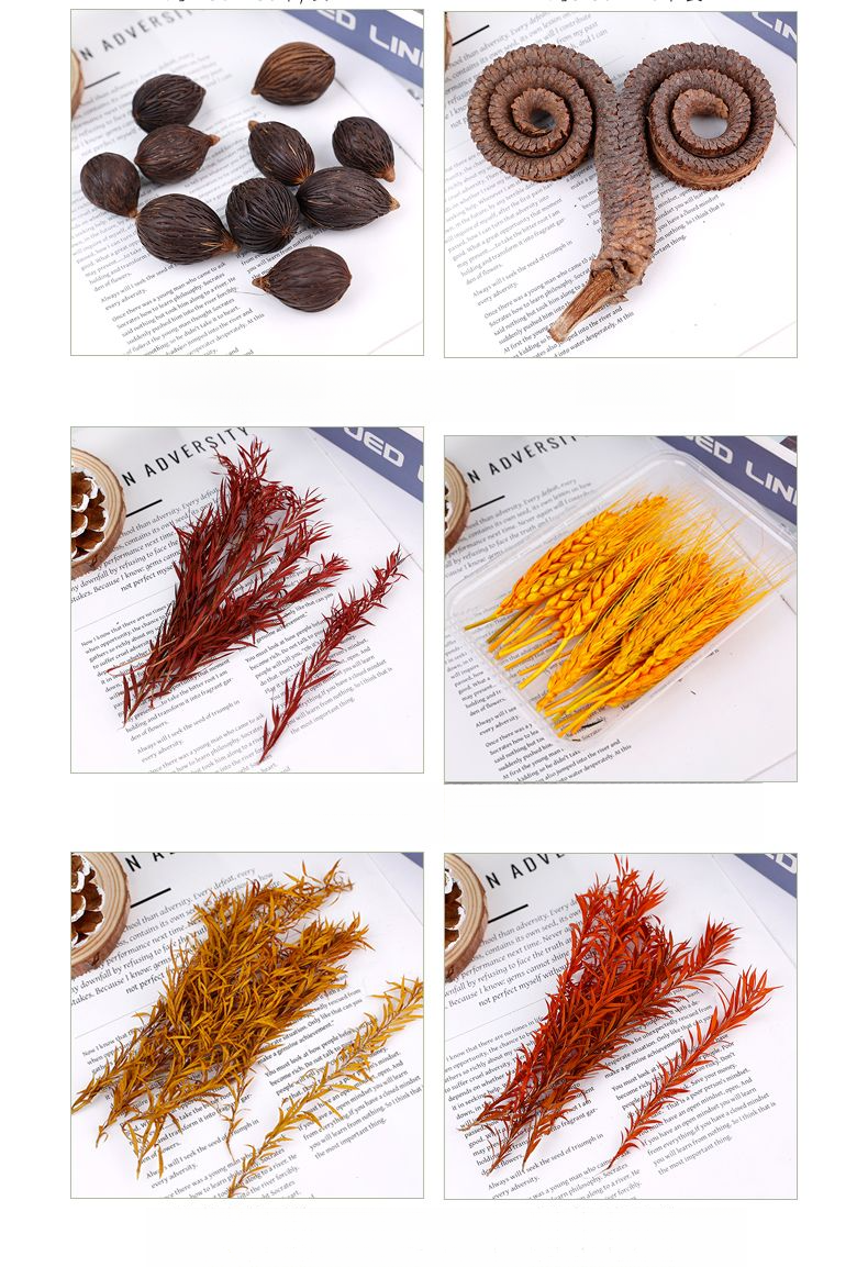 Natural Plant Materials Decorative Ornaments Wreath Handmade Hanging Decor Dried Fruit Combination Set DIY_voghion.com