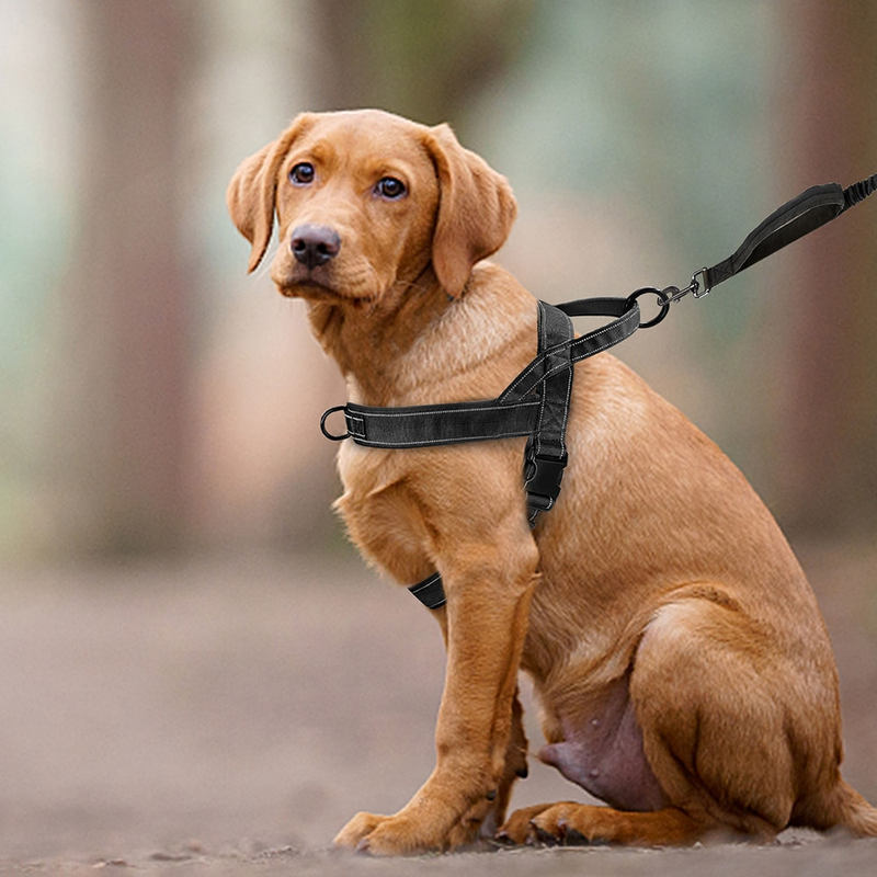 Arnês de treinamento refletivo de nylon durável sem puxar para animais de estimação com alça para cães pequenos, médios e grandes, pastor alemão_voghion.com