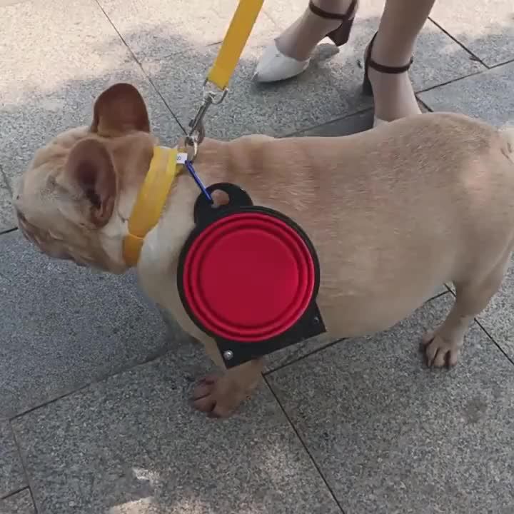 Comedero plegable de plástico 2 en 1 para perros de PawParty Store_voghion.com