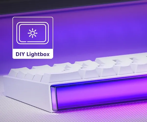 AKKO X Veekos Shine60 HE Magnetic Switch Keyboard 60% Rapid Trigger Keboard RT 0.01mm Snap Key Custom Keyboard For Esports Gamer_voghion.com