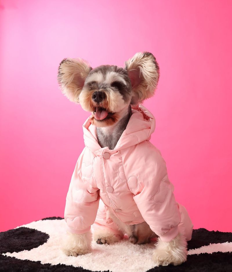 Roupas para cães outono inverno espessadas quentes schnauzer pelúcia pomerânia bichon fofo nuvem quatro patas jaqueta de plumas_voghion.com