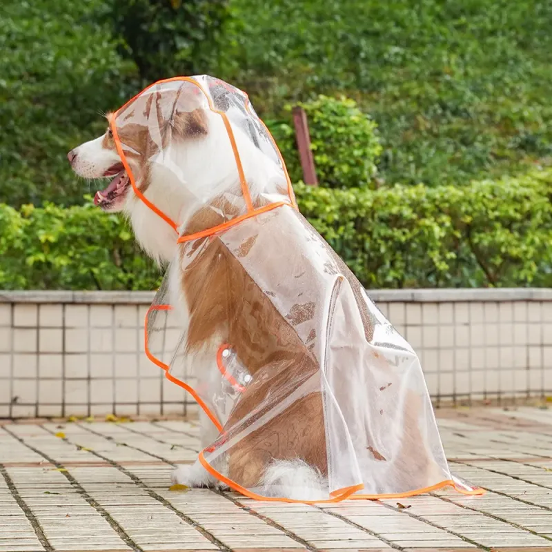 Imperméable pour chien CDDMPET par PawParty Store_voghion.com