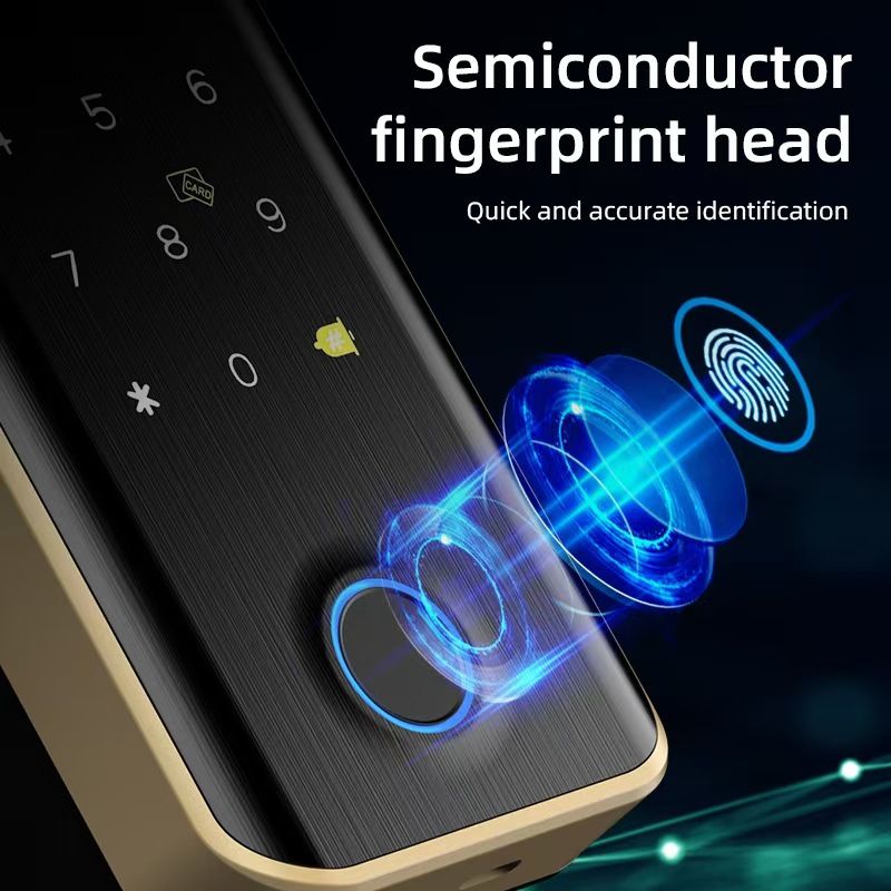 Hot Sale High Cost Performance Glass Door Lock G11S With Fingerprint Password Key_voghion.com