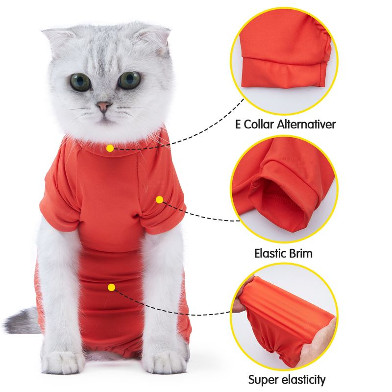 Nouveaux vêtements anti-perte de poils pour animaux de compagnie, combinaison post-opératoire pour chat castré_voghion.com