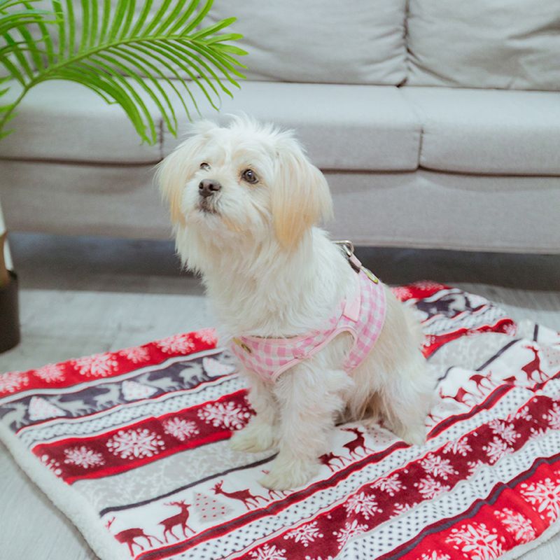 Guangying Pet Mat Breathable Moisture-absorbing Big Space Washable Thicken Rest Cloth Pet Mattress Puppy Cat Sofa Mat For Room_voghion.com