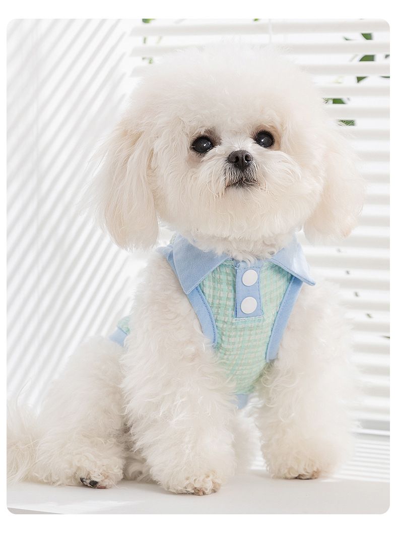 Lote de ropa para perro de verano con cuello a cuadros y jacquard, camiseta sin mangas con tirador, osito Bibi pequeño_voghion.com