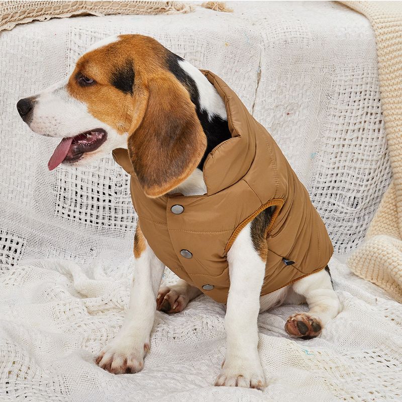 Winter Women's Warm Jacket With French Bulldog Lining Small And Medium Dogs, Soft Windproof Fabric Outfits For Labrador By PawParty Store_voghion.com