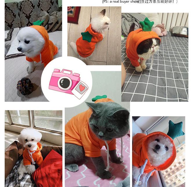 Trasformazione della frutta cane gatto cane di piccola e media taglia autunno e inverno gilet pile abbigliamento forniture pet Teddy metodo secchio produttori_voghion.com