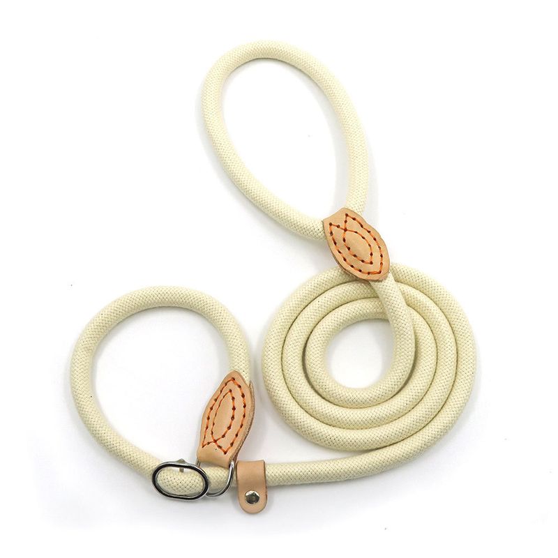 Guinzaglio per cani resistente con corda scorrevole, catena a P, trazione regolabile, cintura da addestramento adatta per cani di taglia media e grande_voghion.com