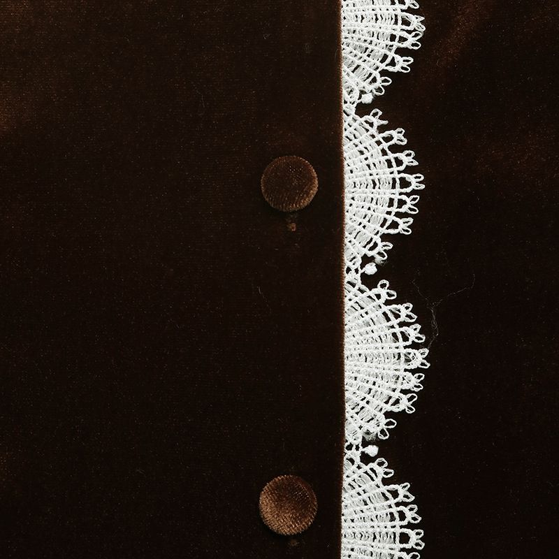 Elegant Vintage Velvet Blouse With V-Neck & Lace Trim - Fall/Winter Boho Chic Shirt For Women, Loose Fit With Puff Sleeves (Brown, S/M/L/Xl)_voghion.com