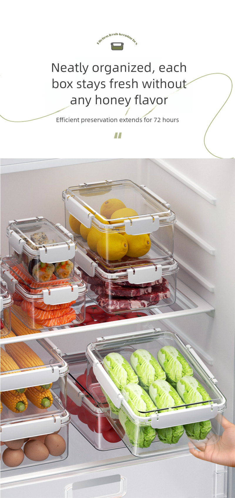 Frigorifero quadrato per alimenti, per conservare la freschezza, per frutta, cucina, per adulti, sicuro per microonde, riscaldamento, verdura, carne congelata, sigillatura_voghion.com