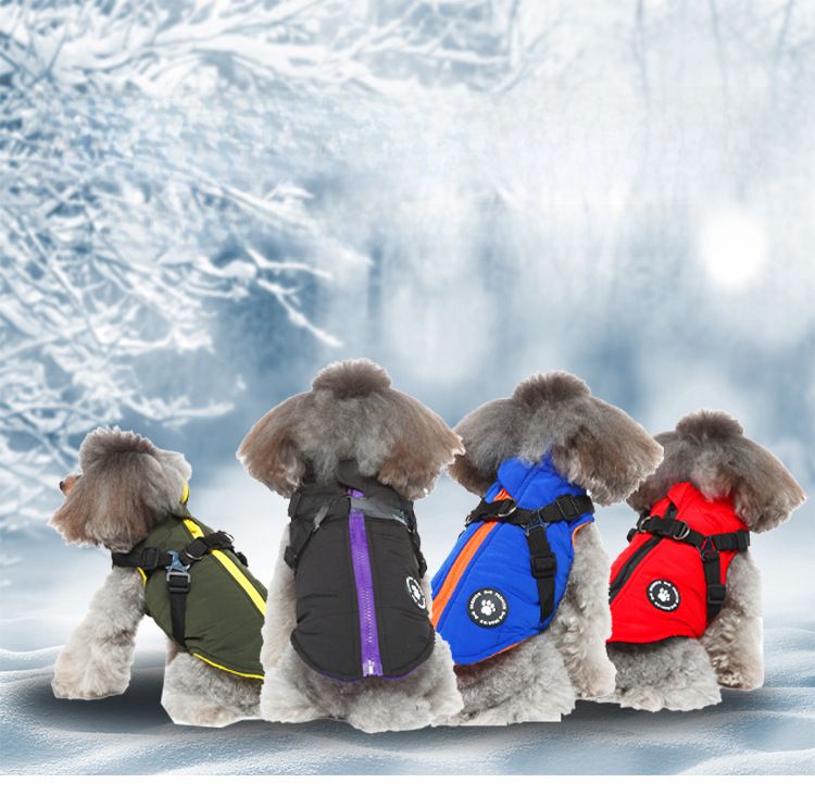 Kräiz-Grenz waarm verkafen Hond Këscht Riem Wanterjacket Koteng gepolstert Mantel Hausdéier Këscht zréck Hond Kleeder Zipper Déier Kleeder_voghion.com