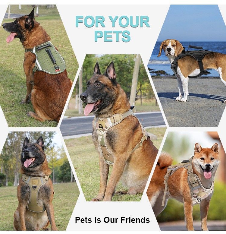 Pet 2024 per cani di taglia media e grande, imbracatura tattica in stile gilet, guinzaglio per passeggiate con il cane_voghion.com