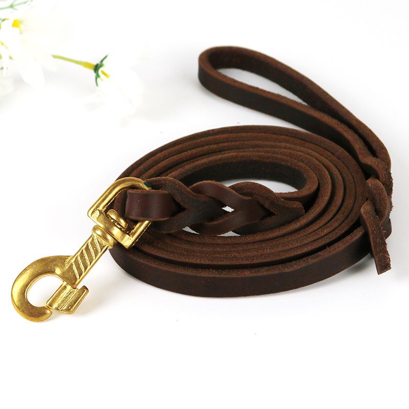 Kupferhaken-Haustier für mittelgroße und große Hunde, Golden Retriever-Hundeleine aus weichem Leder_voghion.com