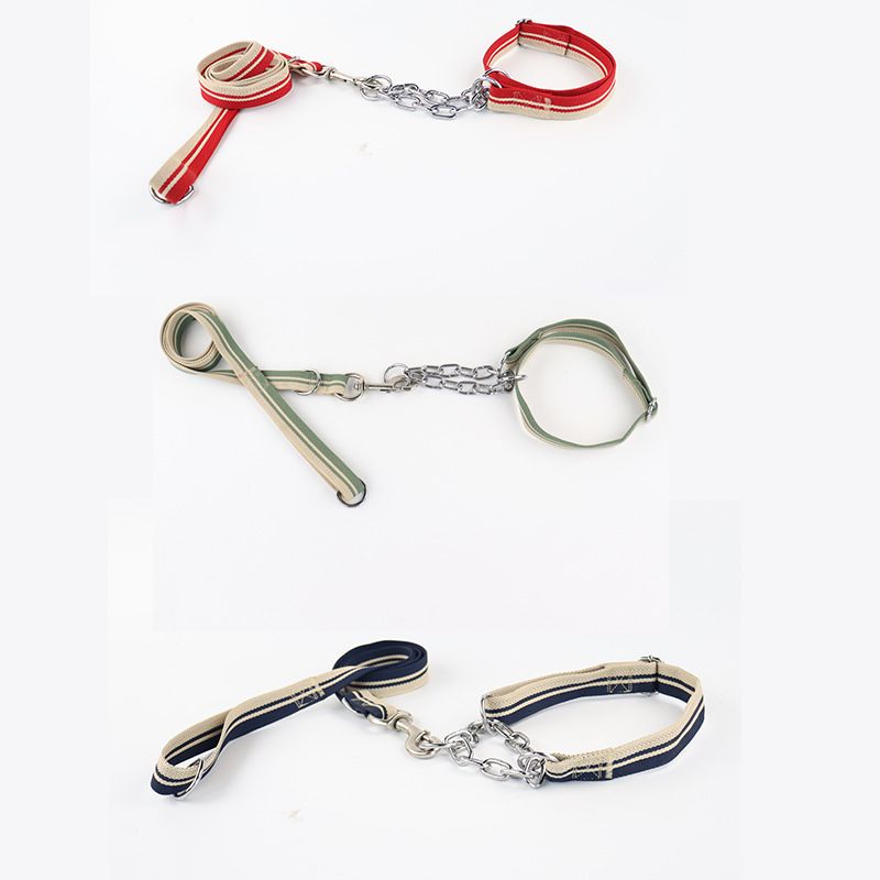 Pet Semi-Control P Chain Leash Set Medium And Large Dogs, Dog Collar For Outdoor Training_voghion.com