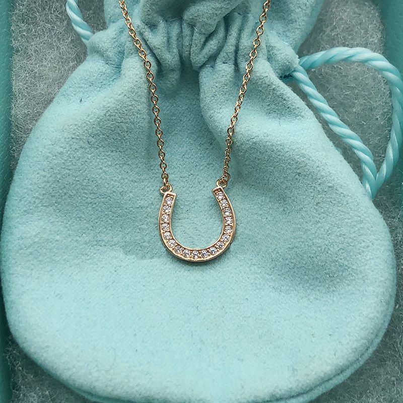 Collana a ferro di cavallo in argento puro a forma di U con ciondolo semplice in cristallo di diamante, catena per clavicola, regalo di San Valentino per_voghion.com
