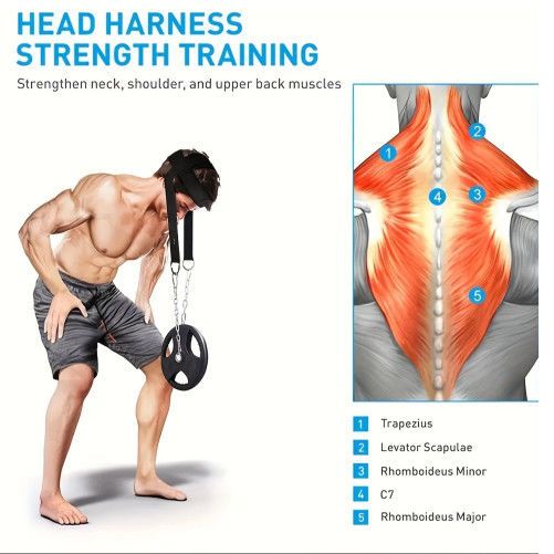 Fortgeschrittener und Muskeltrainer, gewichtete Schulterkraft, Kopf-Nacken-Trainingskappe, Fitnessübung_voghion.com