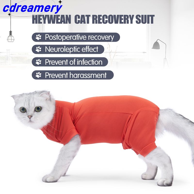 Postoperative Kleidung für Haustiere, Katzenentwöhnungskleidung aus Baumwolle, Erholungsanzug für Katzenoperationen, warmer Winter, Anti-Leck-Operation nach der Genesung_voghion.com