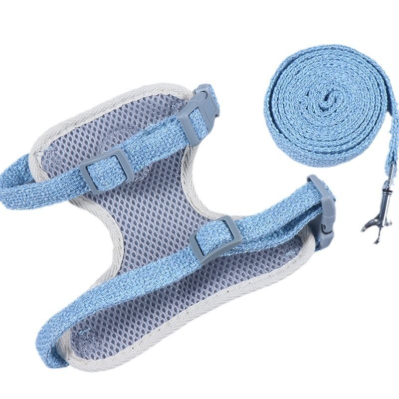 Neue Outdoor-Leine für kleine Haustiere für Hunde, Katzen, Meerschweinchen, Kleidung, Geschirr, Weste im Cartoon-Bär-Stil, Zugseil_voghion.com