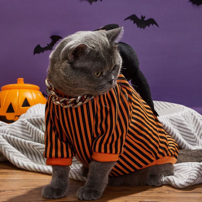 Hond Halloweenkostuum Kat Transformatie Outfit Persoonlijkheid Grappige Kleding Huisdier Top_voghion.com