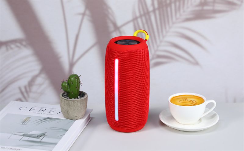 Neie TG663 Tragbare Bluetooth Outdoor Sport Handheld Subwoofer Insert Card U Disk Radio Mini Lautsprecher_voghion.com
