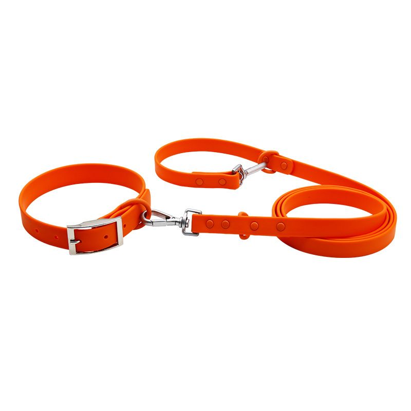 PVC-wasserdichtes Hundehalsband, weiche, silikonartige Doppelkopf-Leine für Haustiere_voghion.com
