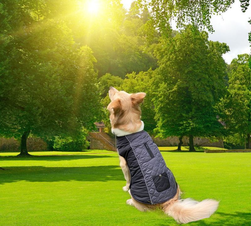 Pocket new pet clothes autumn and winter dog clothes vest cotton coat double sided wearable dog clothes coat clothing_voghion.com