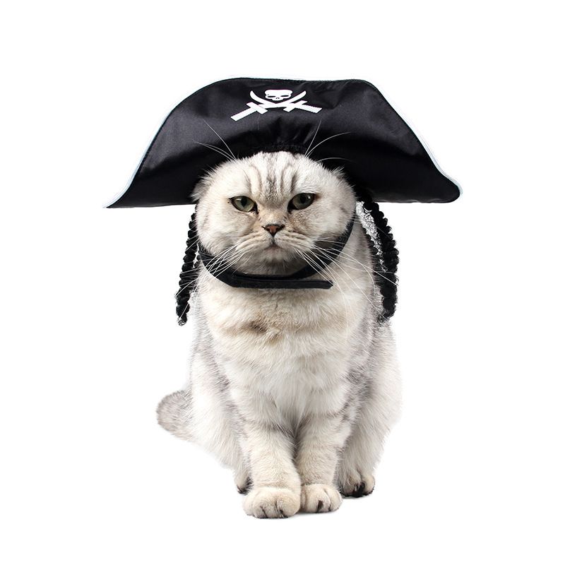 Pet Supplies Halloween Party Performance Costume Spring And Autumn 3D Wig Pirate Cat Hat_voghion.com
