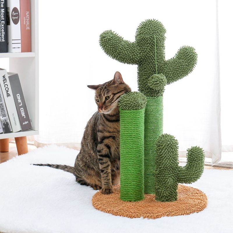 Pet Supplies Cute Cactus Tree Pet Cat Toy With Ball Scratching Post_voghion.com