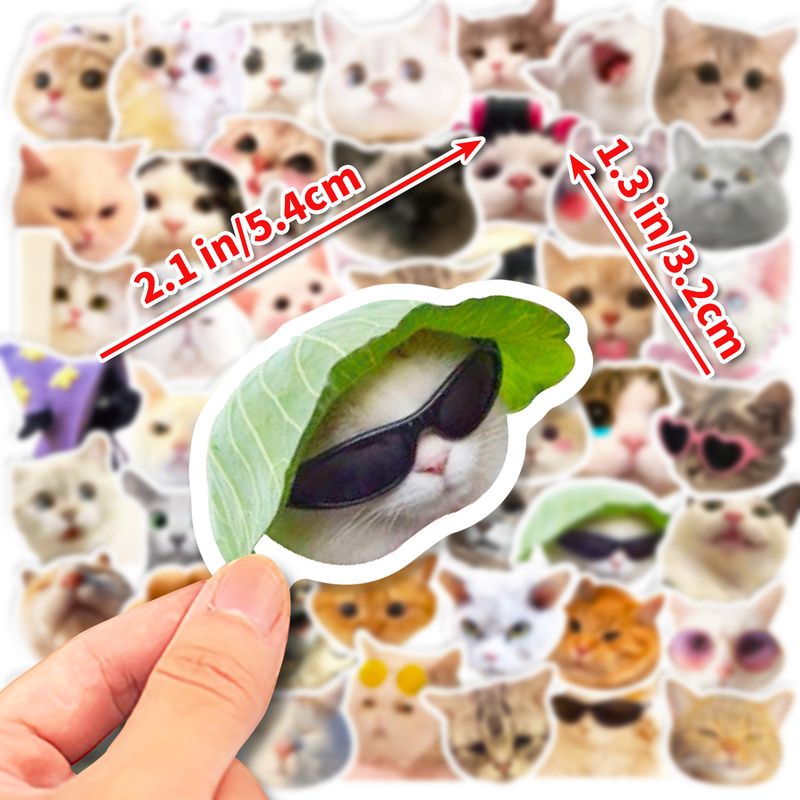 50 Cat Stickers, Internet Celebrity Cat Expression Pack, Graffiti Stickers, Cute Funny Cat Head Stickers_voghion.com