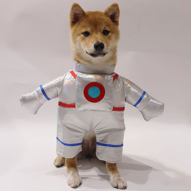 Nieuwe huisdierenkleding Halloween Astronaut Transformatiekostuum voor honden en katten 3D Staande Outfit_voghion.com