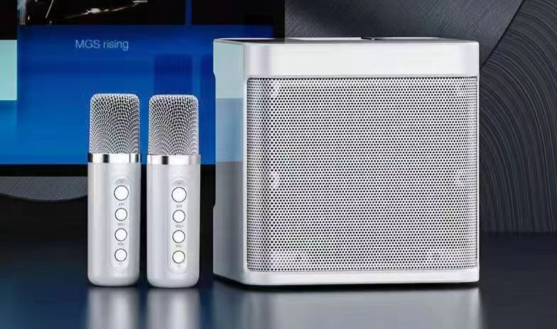 Karaoke domestico transfrontaliero YS203 Microfono wireless KTV integrato 203 Altoparlante Bluetooth_voghion.com
