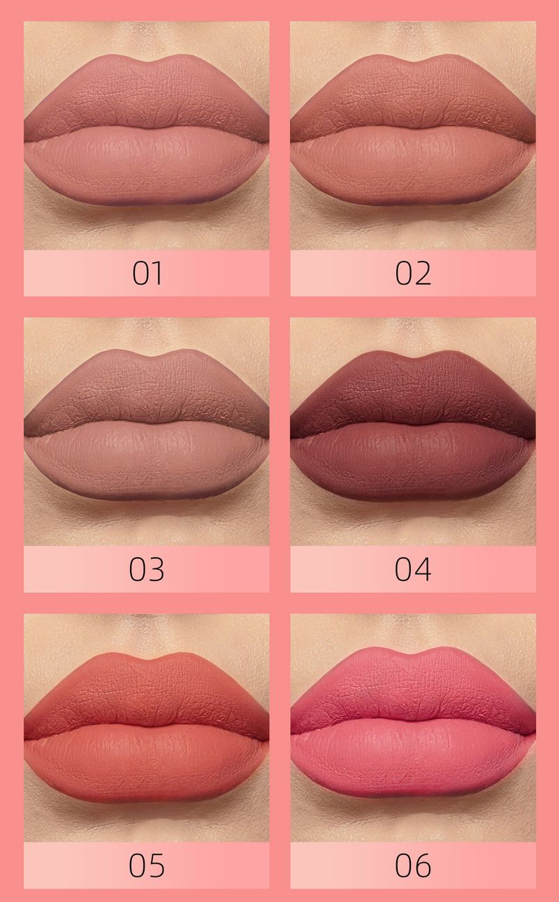 12 Colors Single Matte Velvet Lip Gloss Liquid Lipstick Long-lasting_voghion.com