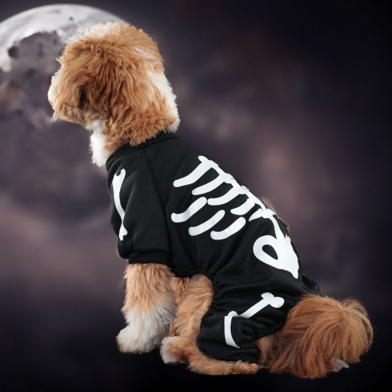 2024 Huisdierkleding Hond Halloween met Lichtgevende Skeletbotten Viervoeterkostuum_voghion.com