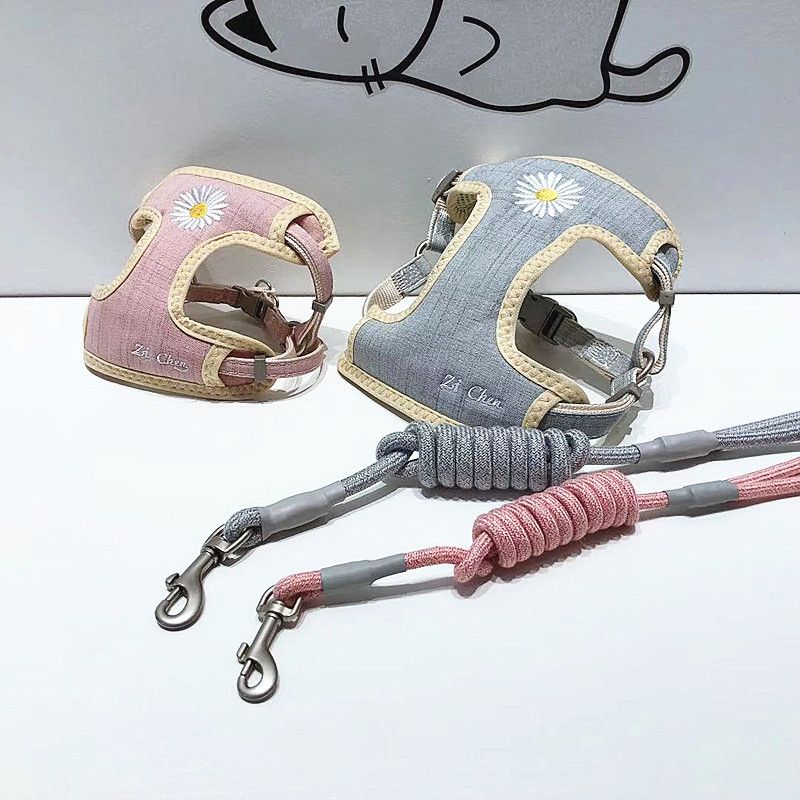 Haustierbedarf Neue Katze Daisy Stickerei Protector Brustgeschirr Set Hundeleine Bequem und langlebig_voghion.com