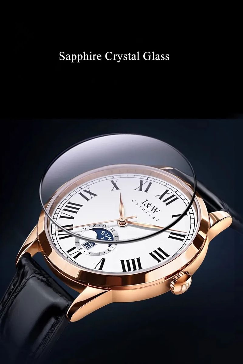 Carnival Brand I&W High-end Series Luxury MIYOTA Movement Mechanical Watch Men Leather Strap Week Date Automatic Watches Mens_voghion.com