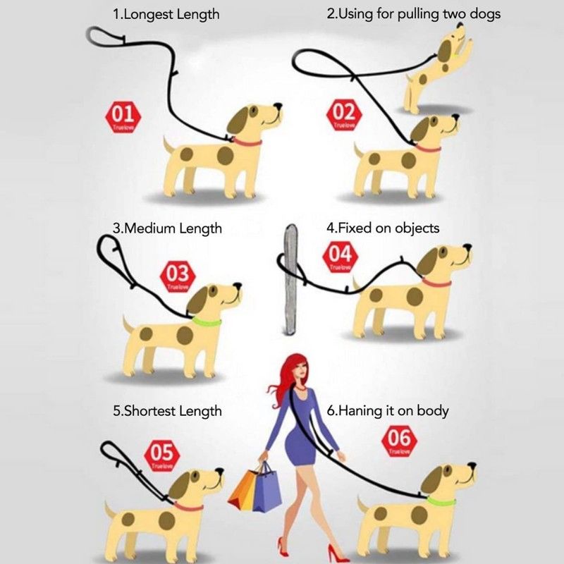 Dog Leash, Multifunctional Hands-Free Leash For Walking By PawParty Store_voghion.com