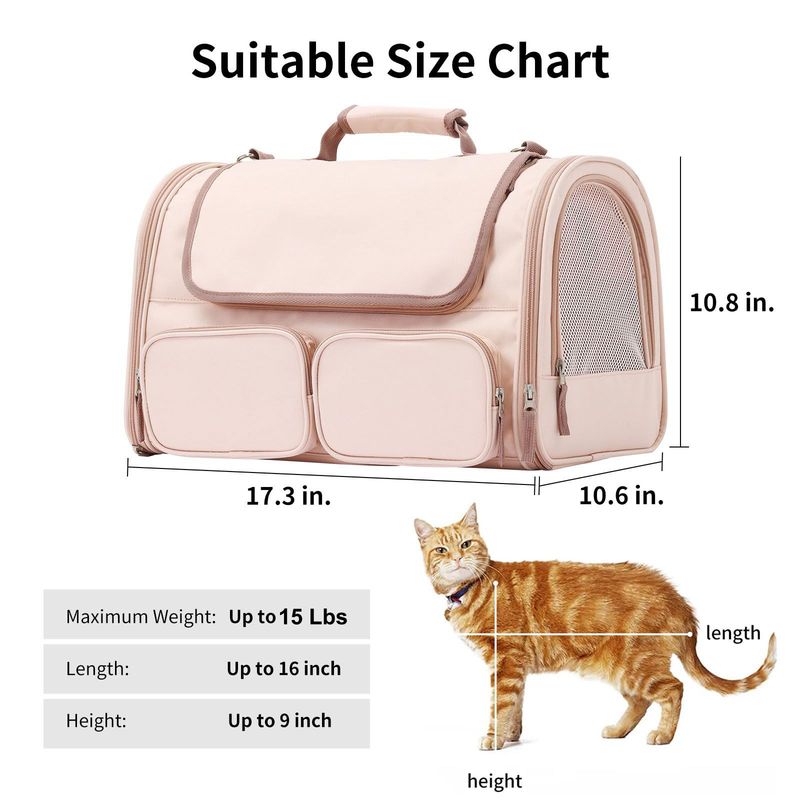Cross-Border Air Box Small Dog Travel Portable Cat Breathable Large Capacity Pet Bag_voghion.com