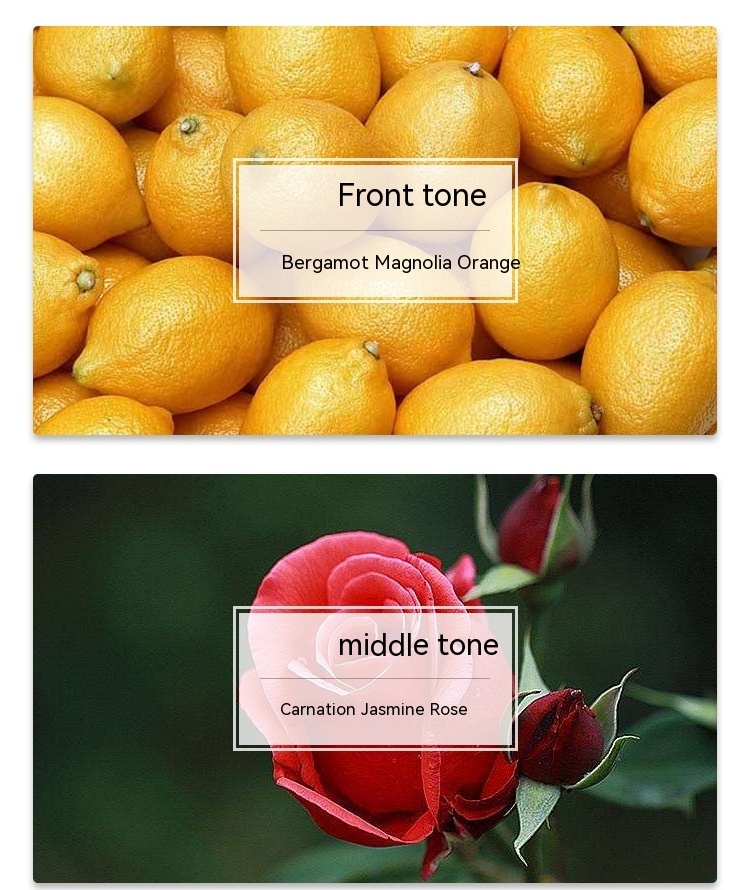 Heißes Damenparfüm 2023 von On The Fifth Avenue, orientalischer Blumenton, natürliches, frisches und langanhaltendes Eau de Toilette_voghion.com