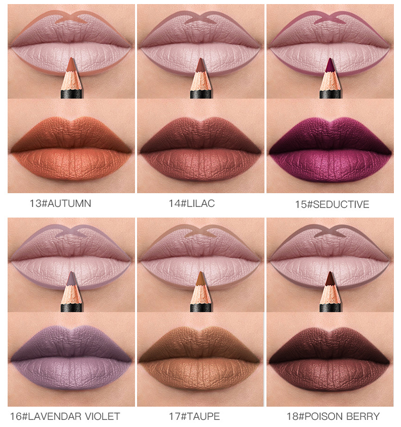 Cross-border Pudaier Lip Liner Waterproof Not Easy To Touch Cup Not Dizzy Bite Lip Makeup 12 Color Matte Lip Pencil Lipstick Pen_voghion.com