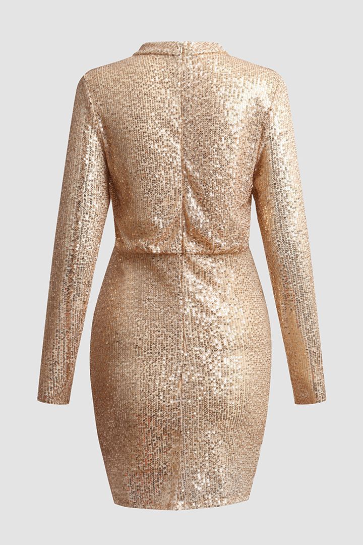 Abito aderente elegante con colletto alto e perline, a maniche lunghe e sexy, con paillettes, 2025_voghion.com
