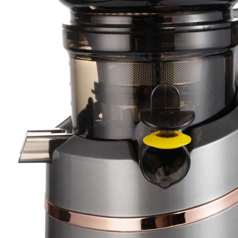 Estrattore di succo RAF standard UE per uso domestico, separatore di succo e polpa di grosso calibro completamente automatico, facile da pulire_voghion.com