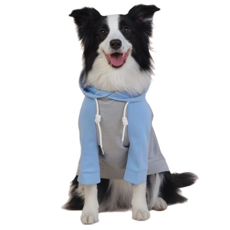 Felpa con cappuccio di taglia media e grande, abbigliamento per cani a due zampe, quattro stagioni, unisex, abbigliamento per animali domestici a blocchi di colore_voghion.com