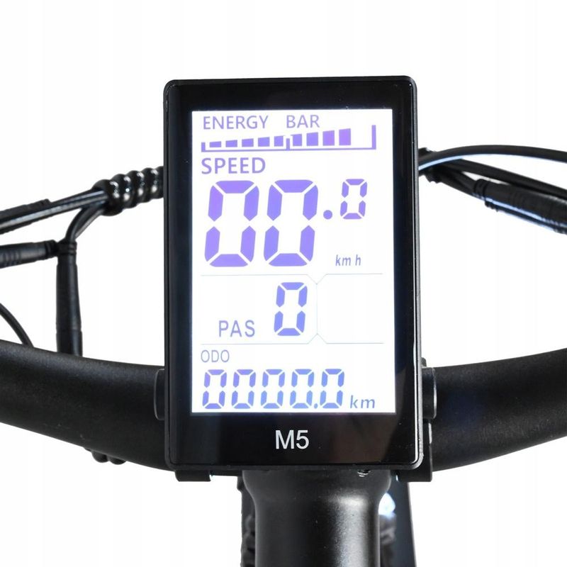 BAOLUJIE DP-2620 Electric Bicycle, All-in-One Wheel, 750W Motor, 48V 13Ah Battery, 7-Speed SHIMANO, Hydraulic Disc_voghion.com