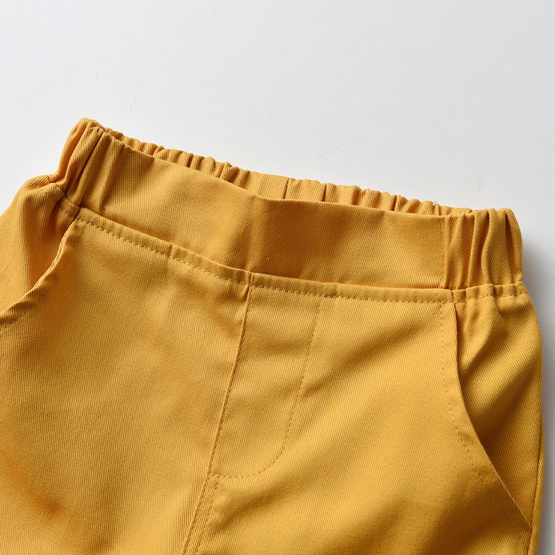 Abbigliamento per bambini estate nuovi ragazzi stampa animalier maglietta a maniche corte pantaloncini stile casual due pezzi vestito per bambini_voghion.com