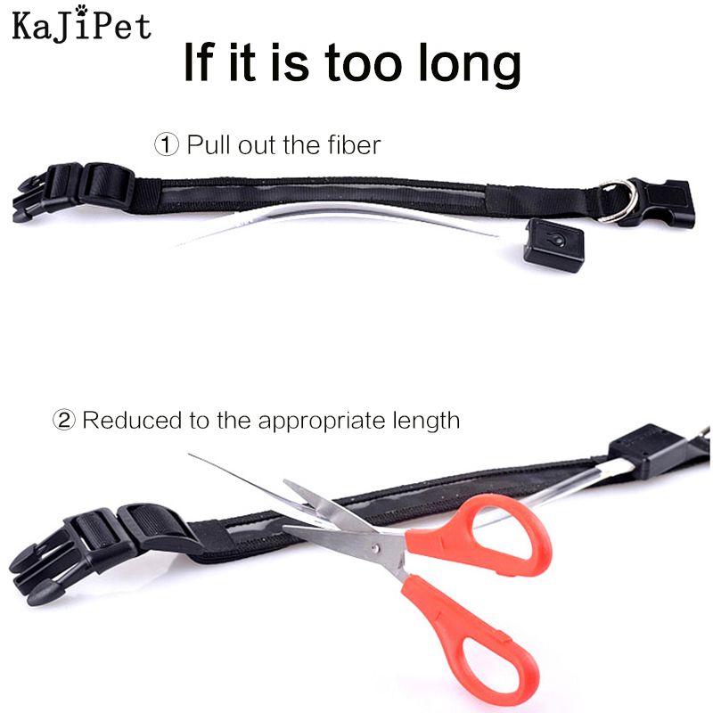 Personalized LED Collar KIPET By PawParty Store_voghion.com