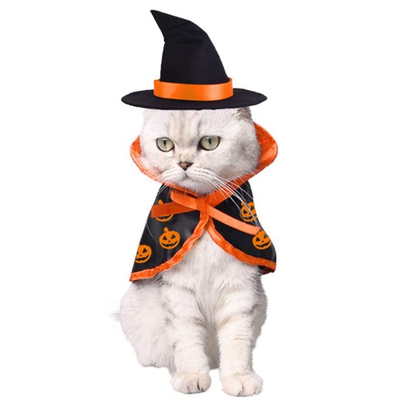 Costume di Halloween Mantello magico Gatto Cane Animale domestico Trasformazione Vestiti_voghion.com